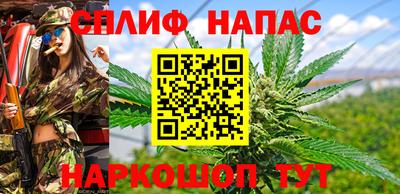 дживик Вышний Волочёк
